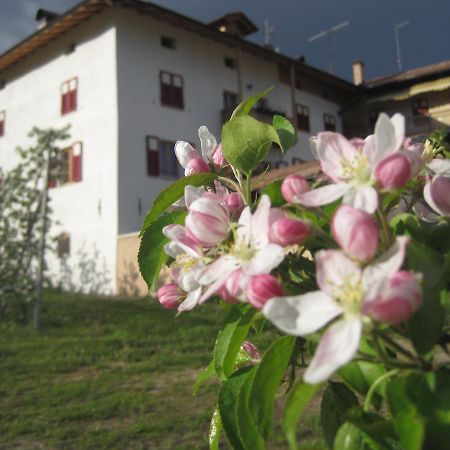 Villa Agritur Maso San Bartolomeo à Romeno Extérieur photo