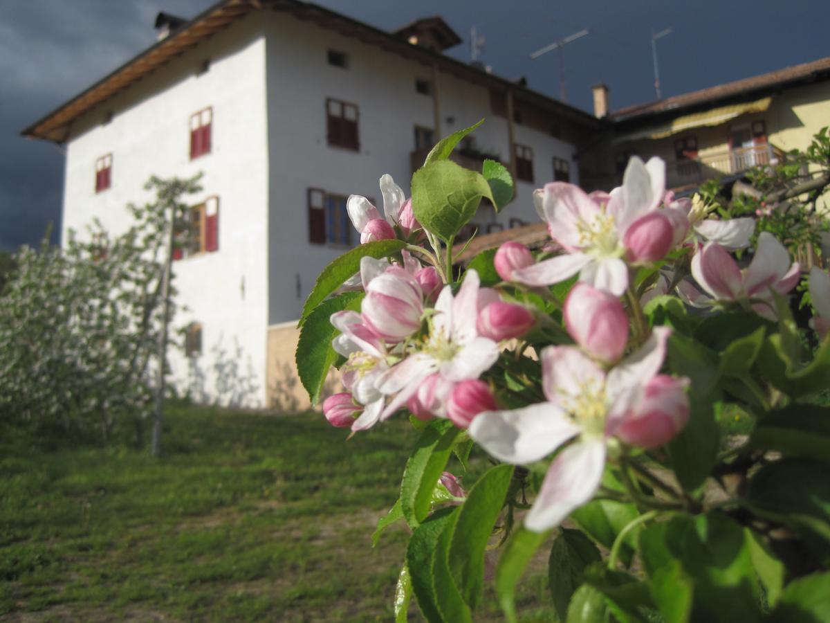 Villa Agritur Maso San Bartolomeo à Romeno Extérieur photo